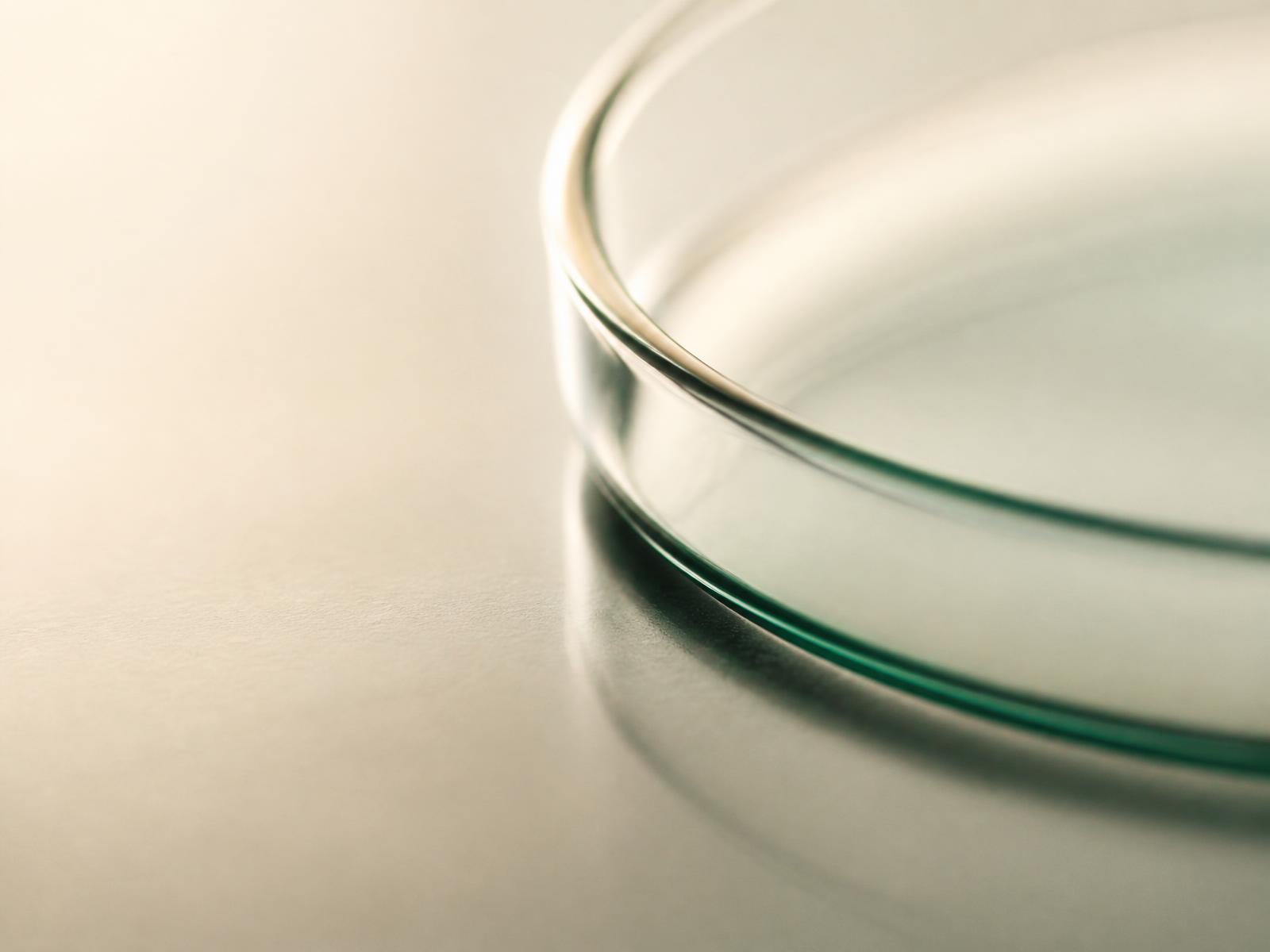 Macro photograph of the rim of laboratory glassware in soft warm light